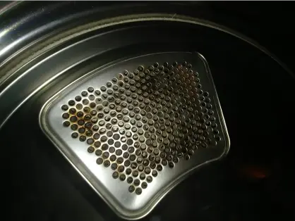 Closed cap of dryer affected by fire