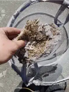 Dryer vent lint